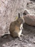 Arica-Surire-2006-079